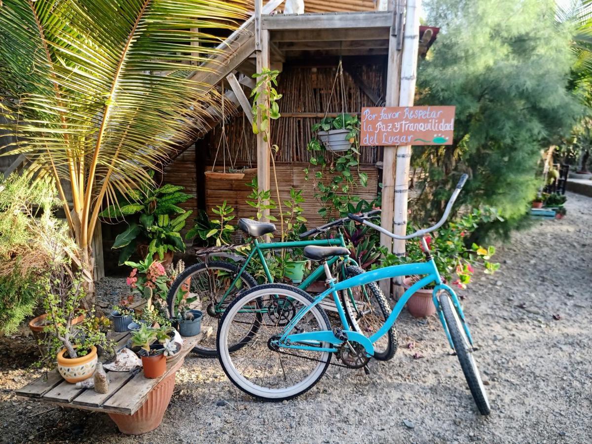 Guacamayo Bed & Breakfast Máncora Extérieur photo