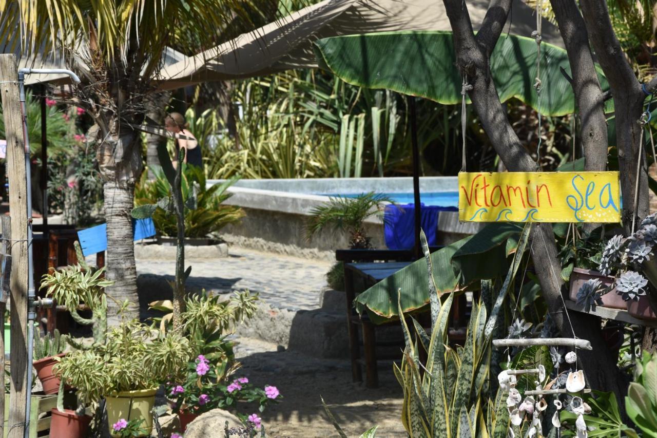 Guacamayo Bed & Breakfast Máncora Extérieur photo