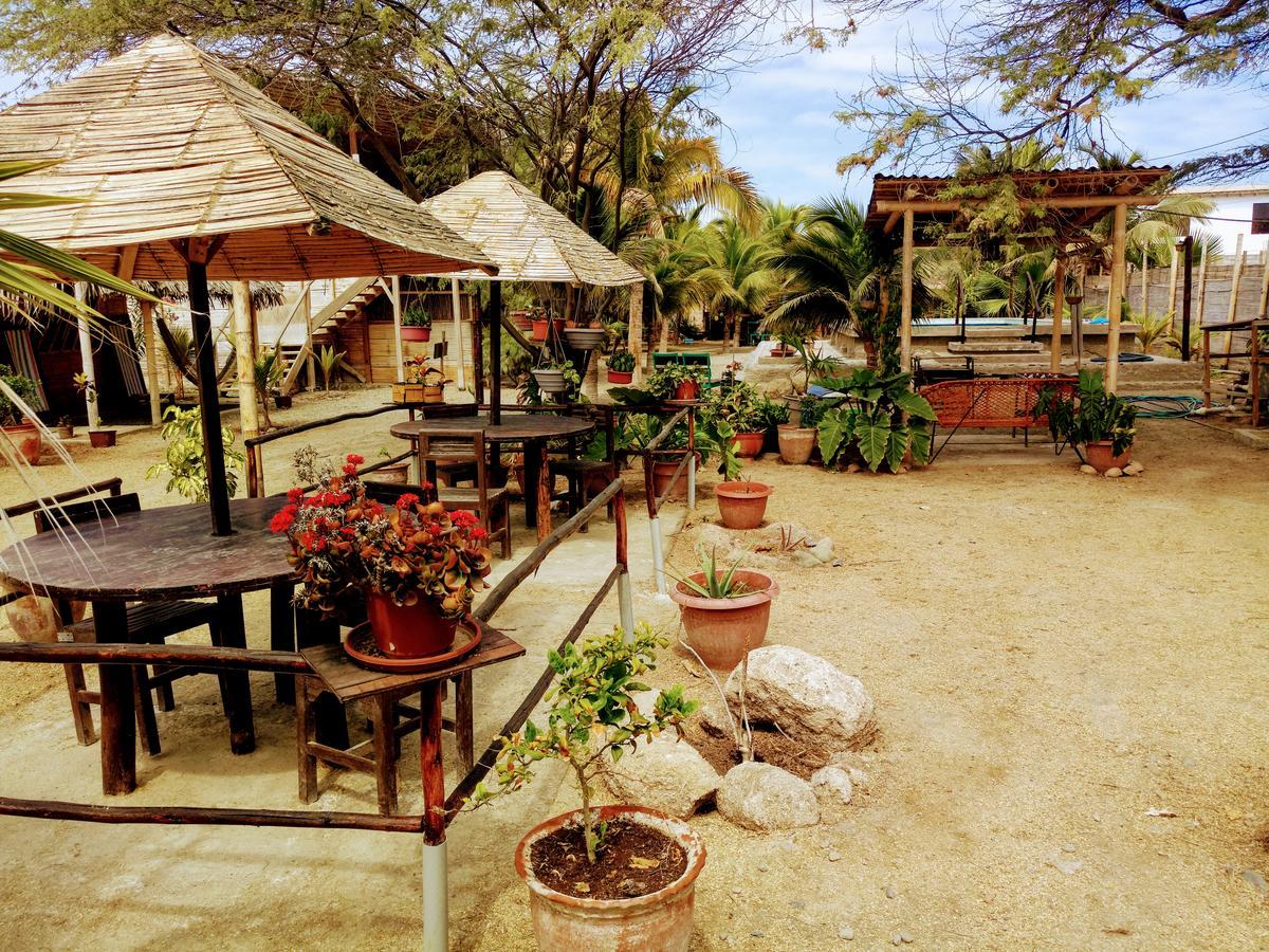 Guacamayo Bed & Breakfast Máncora Extérieur photo