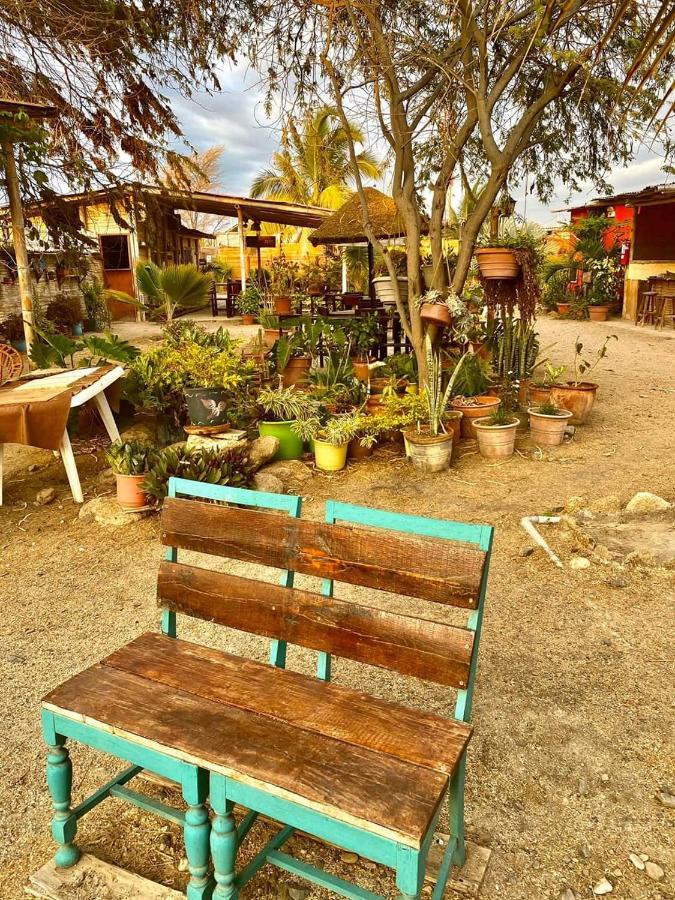 Guacamayo Bed & Breakfast Máncora Extérieur photo